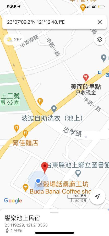 響樂池上電梯民宿1663 Chishang Music Guesthouse エクステリア 写真